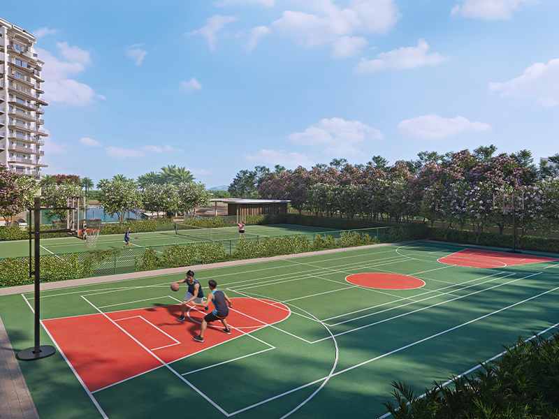 Basket-Ball-Court.jpg
